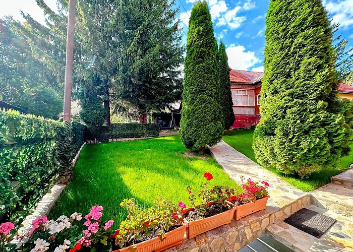 Valea Albă View - SELF CHECK-IN