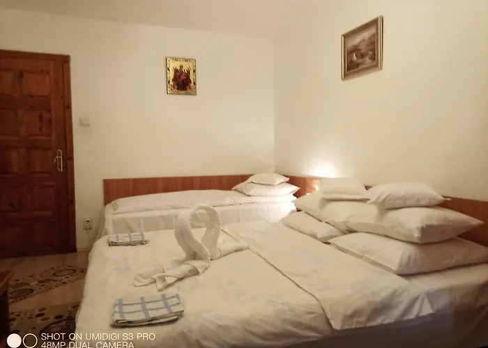Casa Rodica Str. Clabucetului 28Pensiune